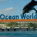 Ocean World Adventure Park Day Trip from Santo Domingo