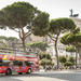 City Sightseeing Transportation and Skip-The-Line Roma Pass