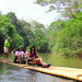2-Night Khao Sok National Park Tour with Elephants, Jungle Hike and Bamboo Rafting 