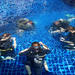 3-Day Advanced Open Water Diving Certification Course in Koh Tao 