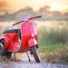 Self-Drive Vintage Vespa Tour with Wine Tasting from Florence