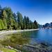 Independent Bike Tour of Vancouver