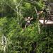 Cancun Adventure Tour at Selvatica: Zipline, Aerial Bridge, Buggy, Bungee Swing and Cenote Swim