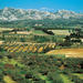 Alpilles Day Trip from Avignon Including St Rémy de Provence, Les Baux de Provence and Lunch