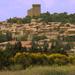 Grands Crus Wine Tasting and Vineyard Tour from Avignon