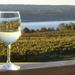 Seneca Lake Wine Tasting & Tour