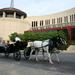 Nashville Carriage Ride