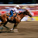 Calgary Stampede Including Overnight Accommodation 