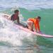 Los Cabos Surf Lesson at Costa Azul or Cerritos Beach