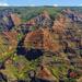 Private Tour: Waimea Canyon, Wailua Falls, Kauai Coffee Company and Spouting Horn