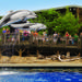 Vancouver Aquarium Admission