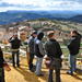 Priorat Wineries Tour from Barcelona Including Wine Tastings and Lunch