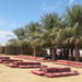 Family Desert Camp Safari and Activities from Abu Dhabi Including Dune Bashing and BBQ Dinner