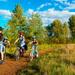 2-Day Small-Group Tuscany Bike Tour to Siena from Florence