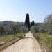 Chianti Hiking Tour with Wine Tasting