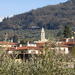 Settignano and Fiesole Hiking Excursion from Florence