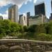 Central Park Walking Tour and Photoshoot