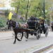 Private Central Park Horse and Carriage Ride