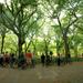 Small-Group Bike Tour of Central Park