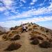 Half-Day Hiking in the Andes from Santiago