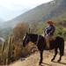 Horse Riding Tour in The Andes from Santiago