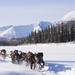 5-Day Active Winter Adventure in Yukon