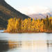 5-Day Golden Aurora Circle: Yukon and Alaska Summits