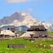 Kamnik and Velika Planina Small-Group Tour