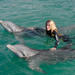 Dolphin Swim in Freeport