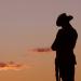 Townsville and the Australian Army: Walking History Tour with Optional City Sightseeing