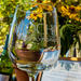 City and Wine: Half Day Sonoma Wine Tour plus Downtown Tour Hop on Hop off