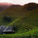 Full-Day Small-Group Tour Longji Rice Terraces and Mountain Village from Guilin