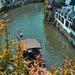 Private Tour: Zhujiajiao Water Town and Qibao Ancient Town from Shanghai