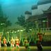 Shanghai Evening Acrobatics Show with Private Hotel Transfer