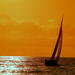 Caipirinha Sunset Sailing Tour from Salvador da Bahia
