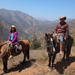 Half Day Horseback Riding in the Chilean Countryside from Santiago