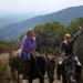 Horseback Riding Adventure in the Chilean Countryside