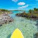 Guided Stand Up Paddleboard Tour Through Mangrove Estuaries
