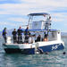 Whale Shark Snorkel from La Paz