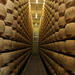 Full-Day Bologna Food Experience from Florence: Parmigiano Reggiano Factory Visit, Balsamic Vinegar and Wine Tasting, and Gourmet Lunch