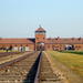 Auschwitz-Birkenau Museum Tour from Krakow