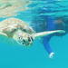4-Hour Kayak and Sea Turtle Snorkel with Beach Break