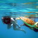 St Thomas Kayak and Sea Turtle Snorkel Excursion