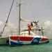 Private Half-Day Snorkel and Swim Catamaran Cruise from Punta Cana