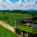 Super Truck Safari from Punta Cana