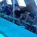 Glass Bottom Boat Sharm el Sheikh