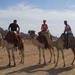 Sharm El Sheikh Camel Safari