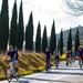 Full Day Tuscan Countryside Bike Tour