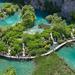 Plitvice Lakes National Park Tour from Split