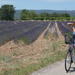 Luberon Electric Bike Rental from Bonnieux